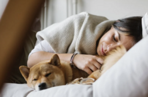 8 Best Tips For A Dog Friendly Home