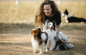 10 Best Practices for Dogs Meeting People and Dogs Meeting Dogs