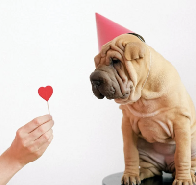 How To Show Your Love To Your Dogs This Valentine’s Day